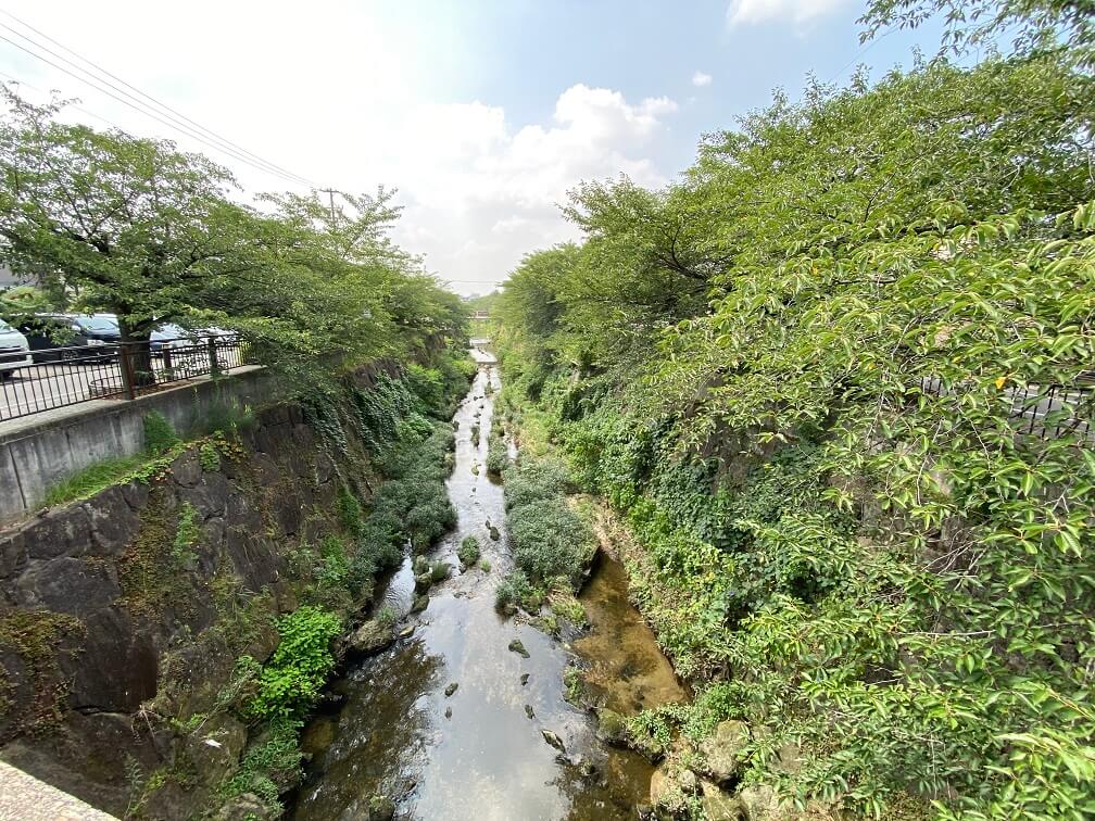 山崎川